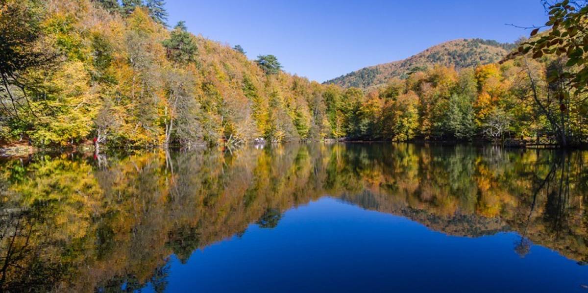 SAPANCA/MAŞUKİYE TURU - Resim #5