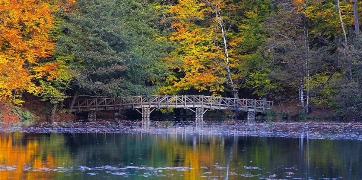 SAPANCA/MAŞUKİYE TURU - Resim #4